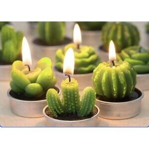 Cactus‎ Tea Light Candles Decorative For Any Room Conversation Piece 6 Candles